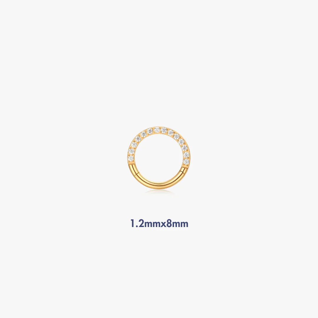 Pave Titanium Hoop (Single) - Image 3